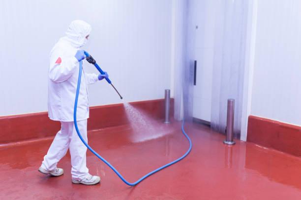 Best Building Exterior Washing  in Sayreville, NJ